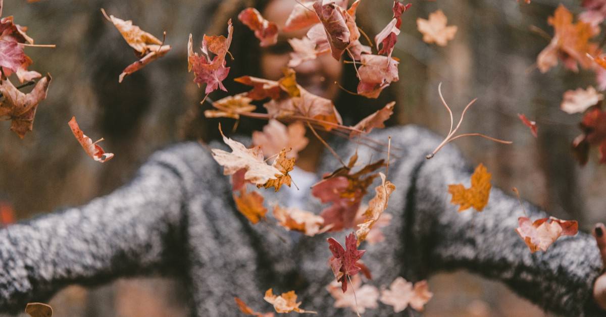 Therapy can help you regulate your emotions in the fall and winter